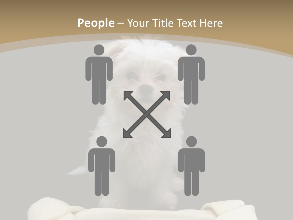 A Cute Little Dog Standing Next To A Big Bone PowerPoint Template