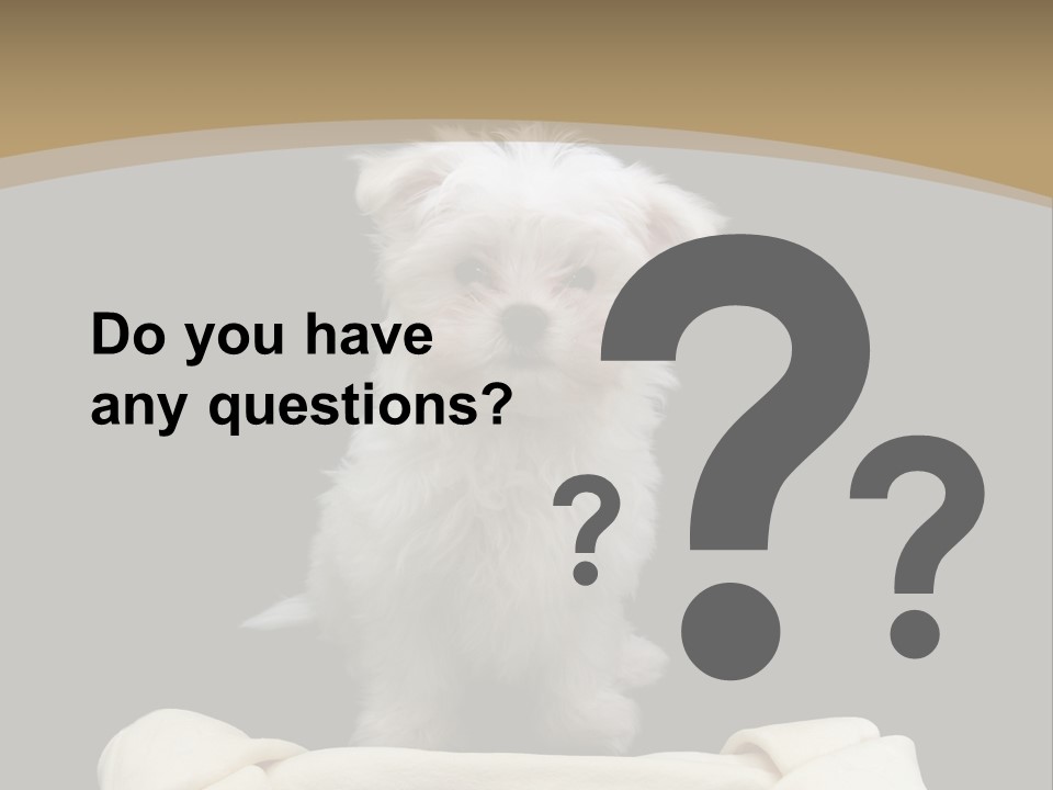 A Cute Little Dog Standing Next To A Big Bone PowerPoint Template