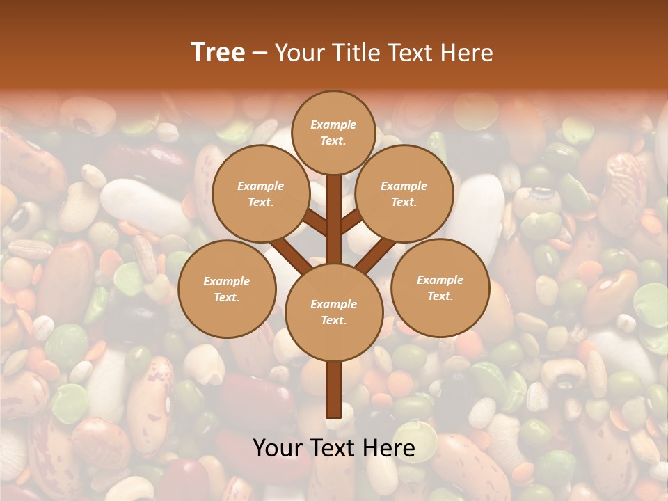 Close-Up Of Dried Legumes And Cereals PowerPoint Template