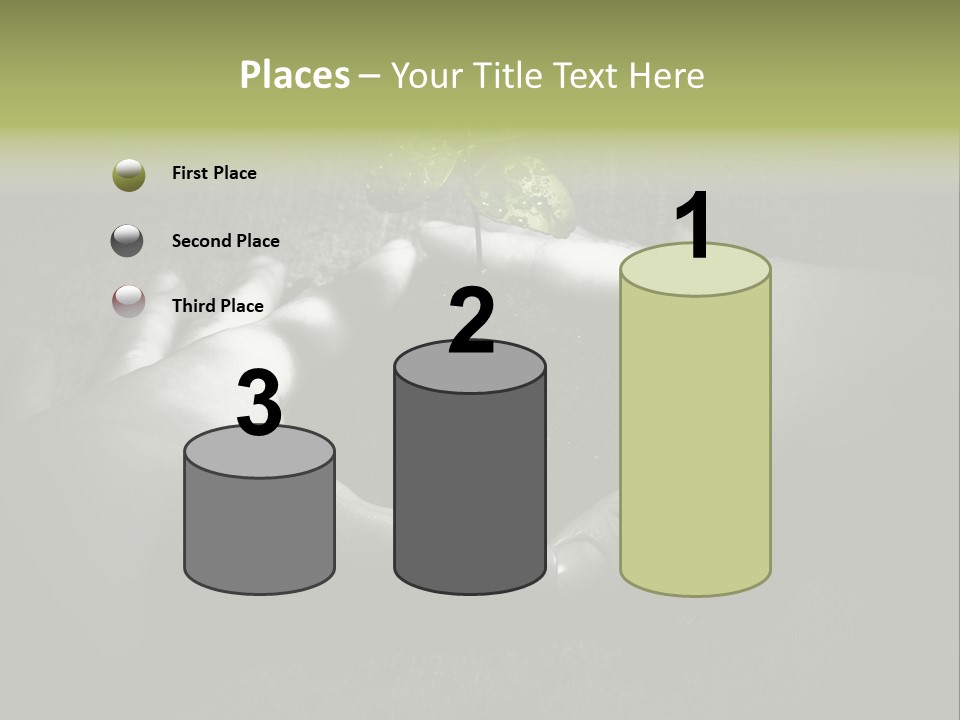 Female Careful Hands Gathering Round A Green Plant. Environmental Conceptual Image. Focus On A Plant. PowerPoint Template