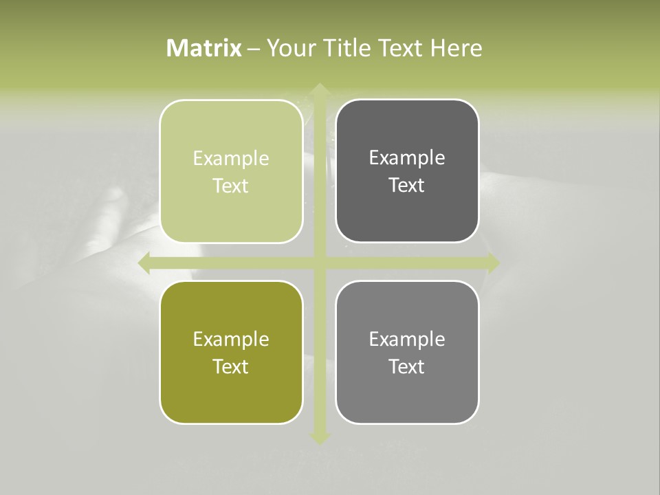 Female Careful Hands Gathering Round A Green Plant. Environmental Conceptual Image. Focus On A Plant. PowerPoint Template