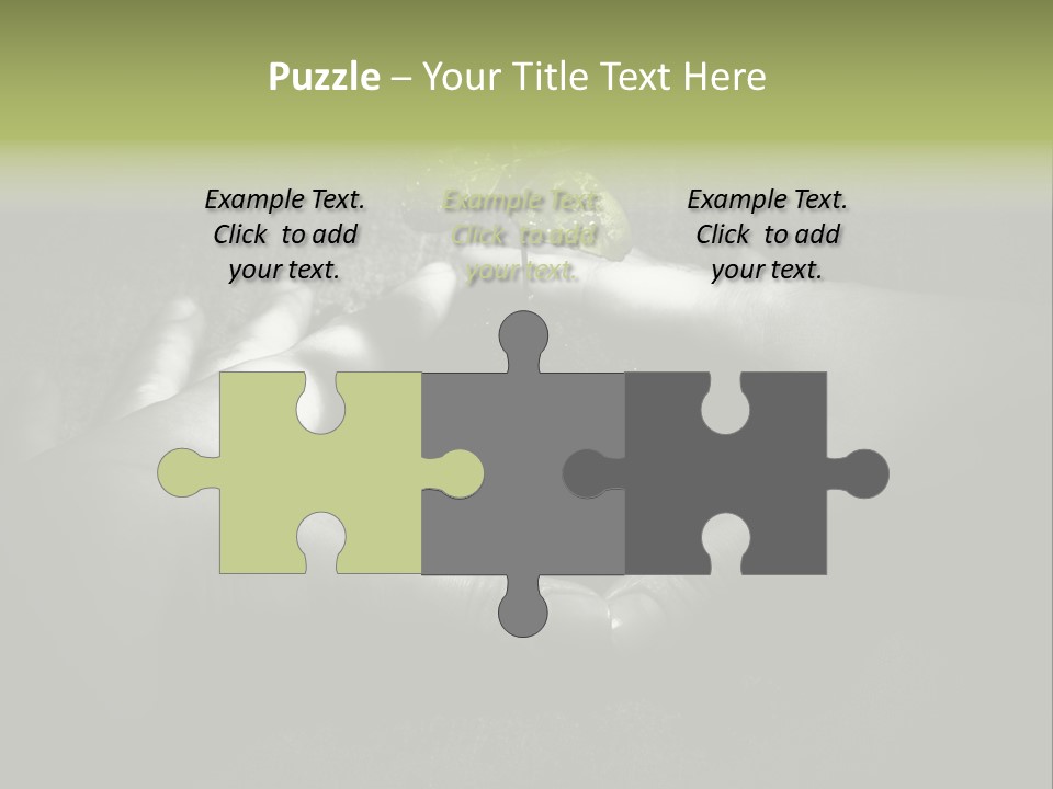 Female Careful Hands Gathering Round A Green Plant. Environmental Conceptual Image. Focus On A Plant. PowerPoint Template