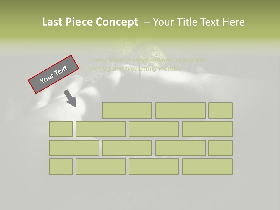 Female Careful Hands Gathering Round A Green Plant. Environmental Conceptual Image. Focus On A Plant. PowerPoint Template