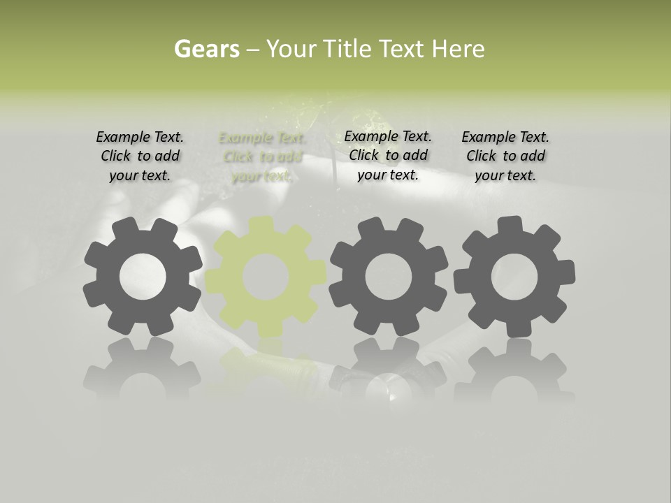 Female Careful Hands Gathering Round A Green Plant. Environmental Conceptual Image. Focus On A Plant. PowerPoint Template