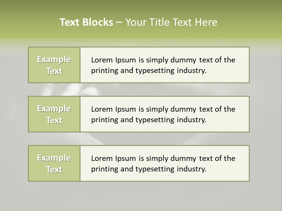 Female Careful Hands Gathering Round A Green Plant. Environmental Conceptual Image. Focus On A Plant. PowerPoint Template