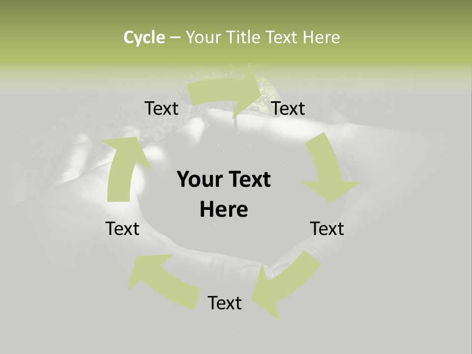 Female Careful Hands Gathering Round A Green Plant. Environmental Conceptual Image. Focus On A Plant. PowerPoint Template
