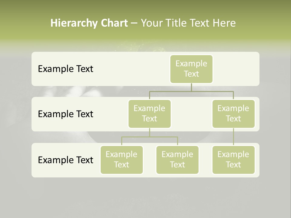 Female Careful Hands Gathering Round A Green Plant. Environmental Conceptual Image. Focus On A Plant. PowerPoint Template