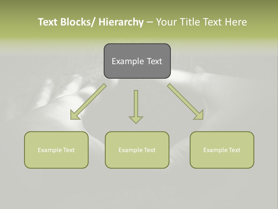 Female Careful Hands Gathering Round A Green Plant. Environmental Conceptual Image. Focus On A Plant. PowerPoint Template