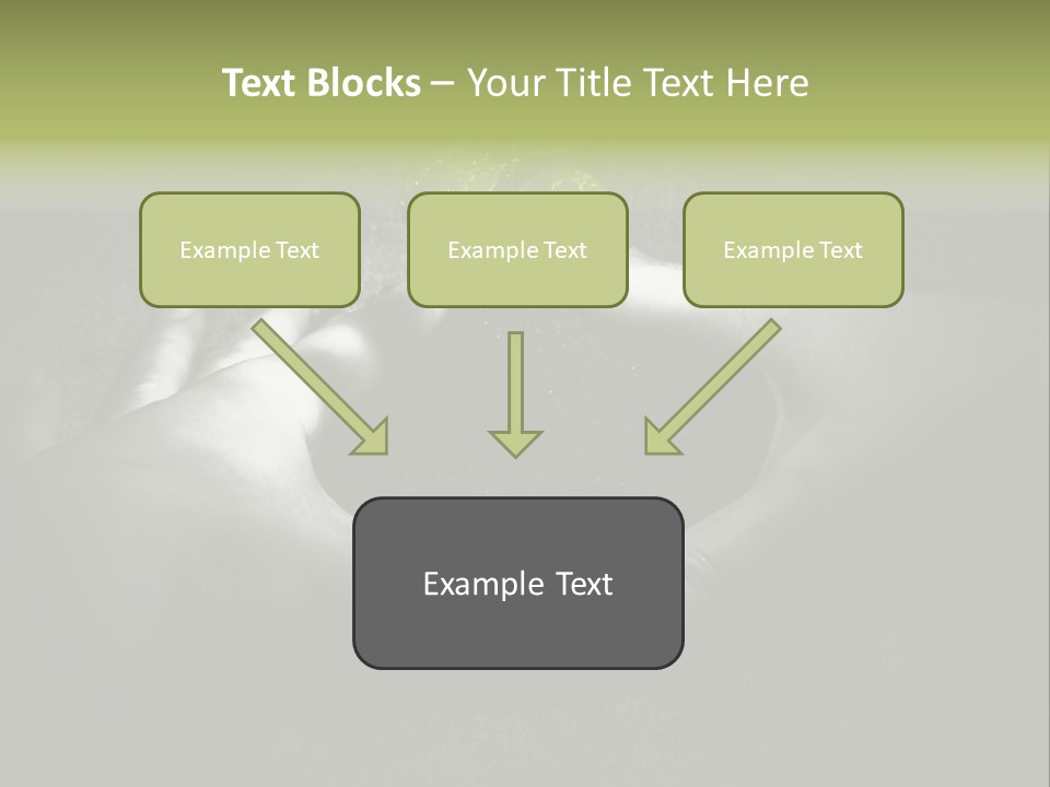 Female Careful Hands Gathering Round A Green Plant. Environmental Conceptual Image. Focus On A Plant. PowerPoint Template