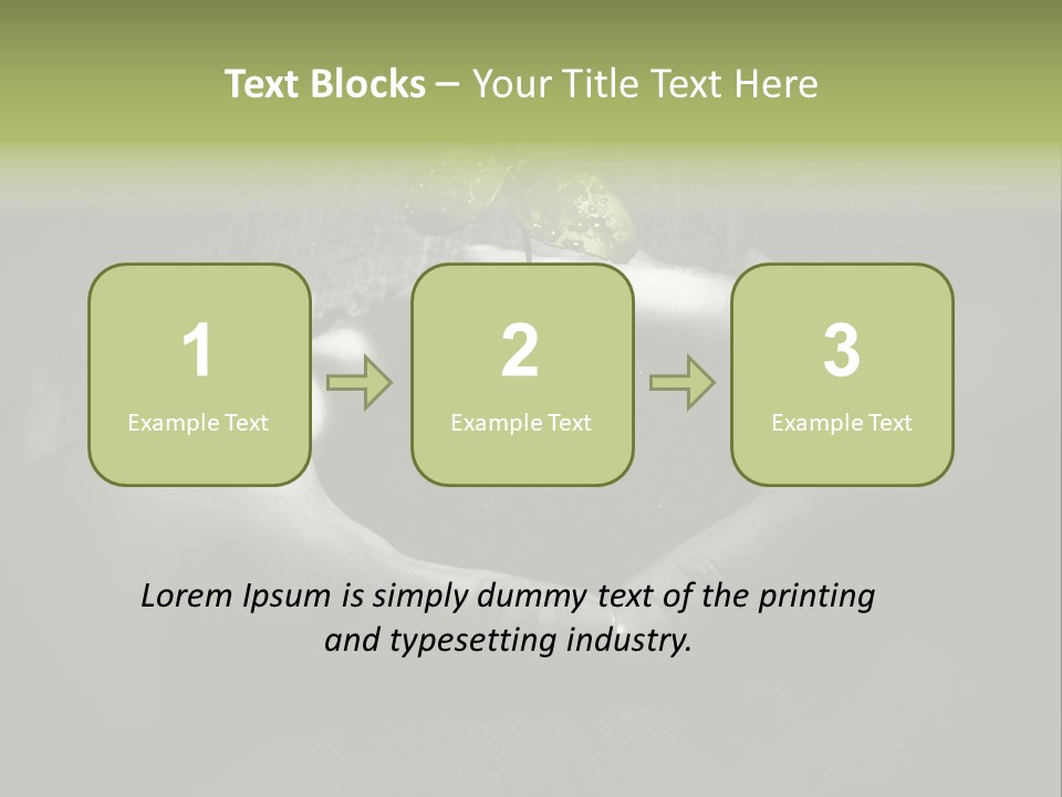 Female Careful Hands Gathering Round A Green Plant. Environmental Conceptual Image. Focus On A Plant. PowerPoint Template