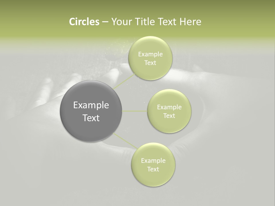Female Careful Hands Gathering Round A Green Plant. Environmental Conceptual Image. Focus On A Plant. PowerPoint Template