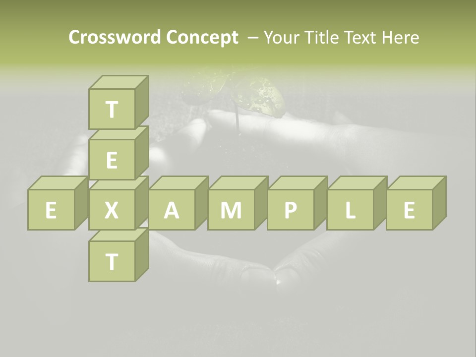 Female Careful Hands Gathering Round A Green Plant. Environmental Conceptual Image. Focus On A Plant. PowerPoint Template