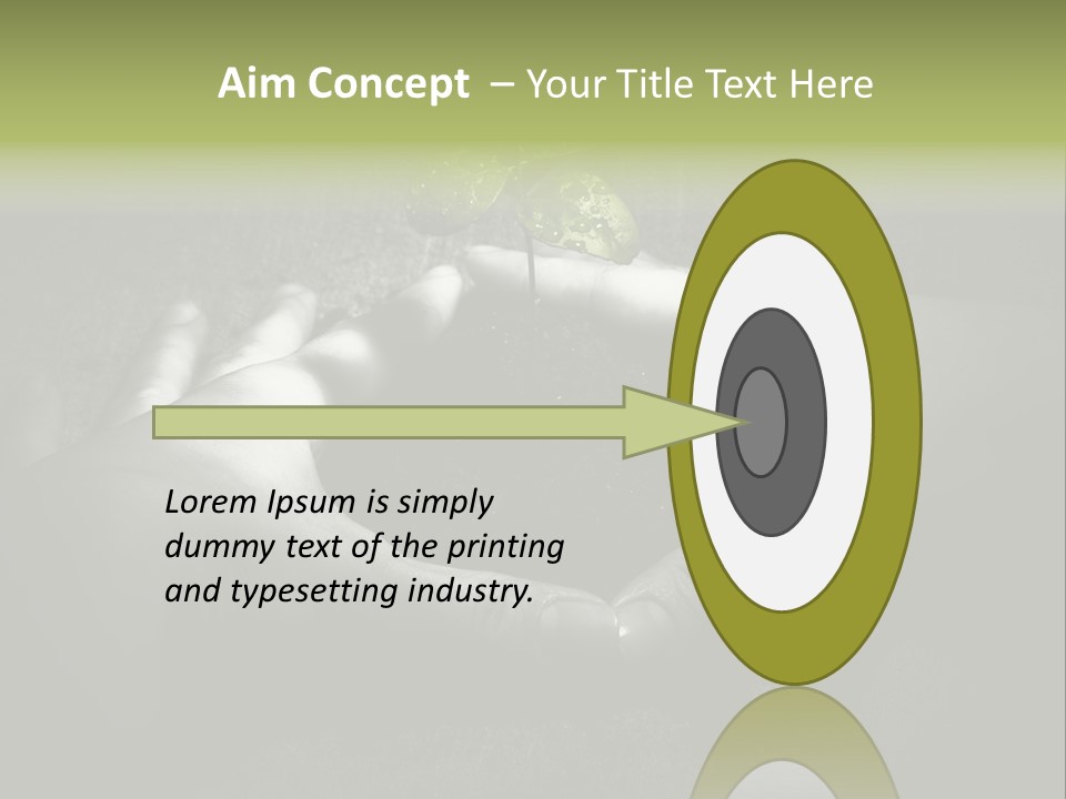 Female Careful Hands Gathering Round A Green Plant. Environmental Conceptual Image. Focus On A Plant. PowerPoint Template