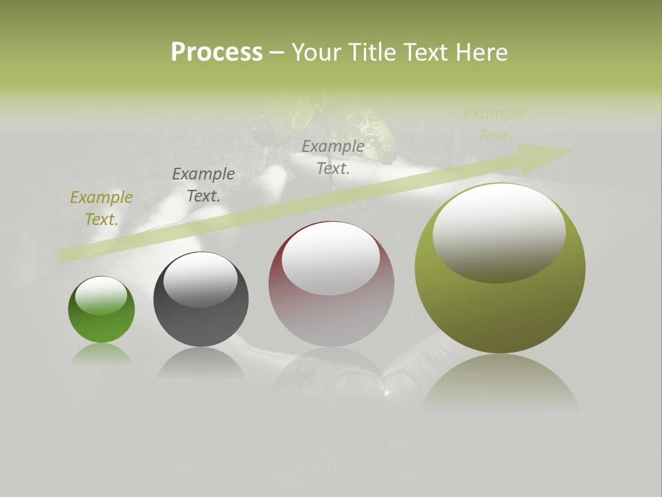 Female Careful Hands Gathering Round A Green Plant. Environmental Conceptual Image. Focus On A Plant. PowerPoint Template