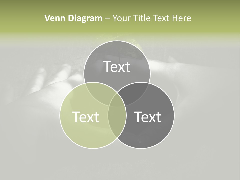 Female Careful Hands Gathering Round A Green Plant. Environmental Conceptual Image. Focus On A Plant. PowerPoint Template