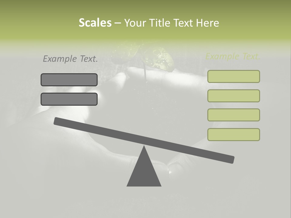 Female Careful Hands Gathering Round A Green Plant. Environmental Conceptual Image. Focus On A Plant. PowerPoint Template