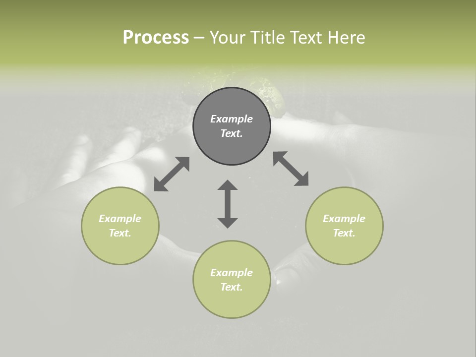 Female Careful Hands Gathering Round A Green Plant. Environmental Conceptual Image. Focus On A Plant. PowerPoint Template