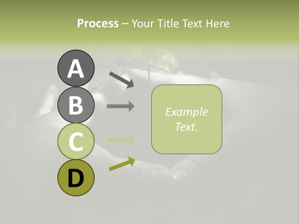 Female Careful Hands Gathering Round A Green Plant. Environmental Conceptual Image. Focus On A Plant. PowerPoint Template