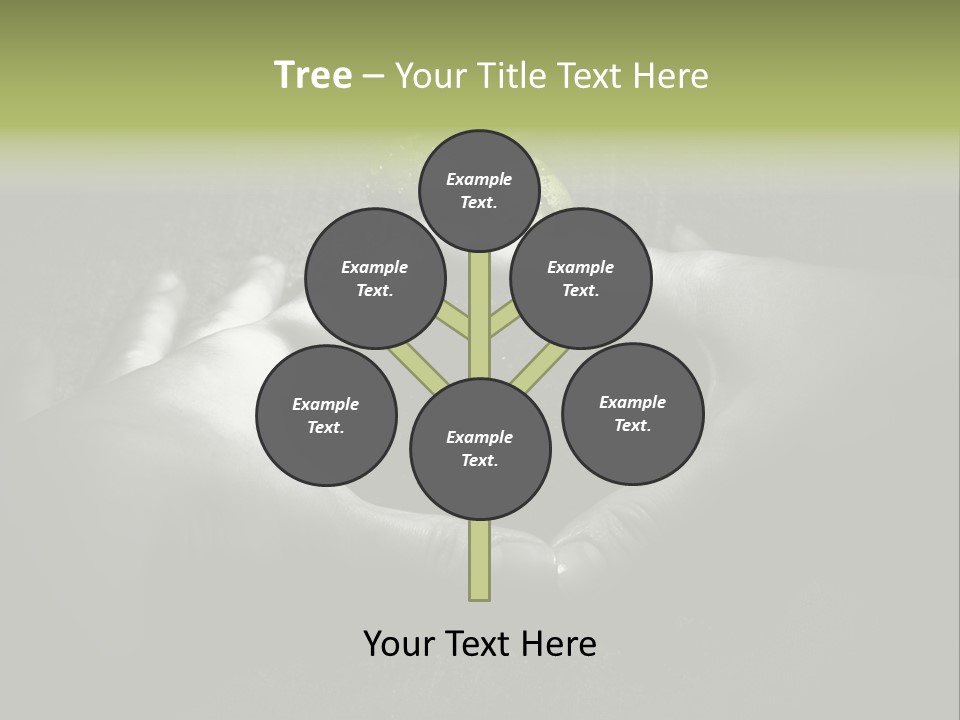 Female Careful Hands Gathering Round A Green Plant. Environmental Conceptual Image. Focus On A Plant. PowerPoint Template