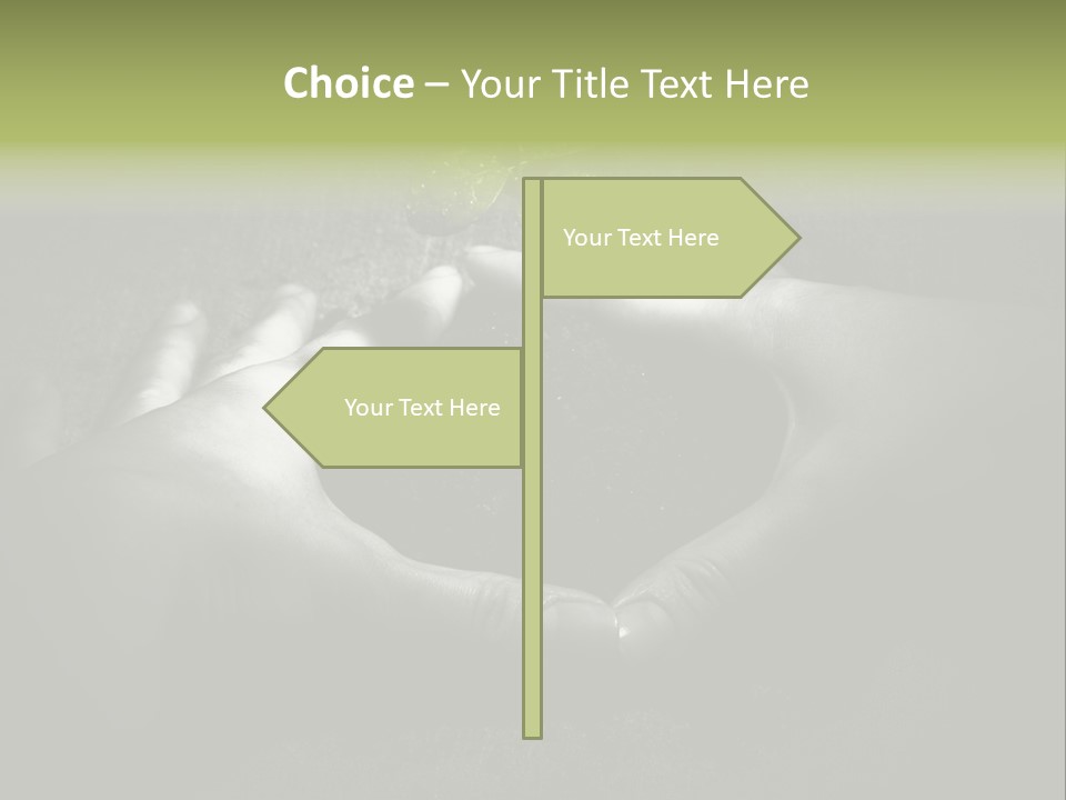 Female Careful Hands Gathering Round A Green Plant. Environmental Conceptual Image. Focus On A Plant. PowerPoint Template