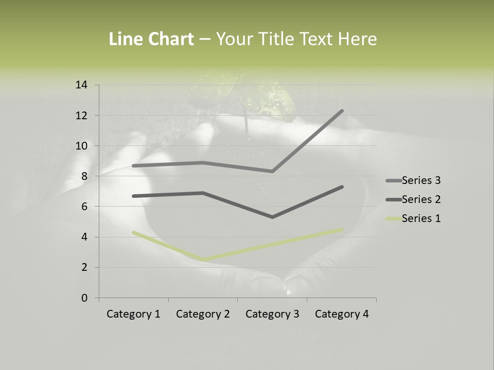 Female Careful Hands Gathering Round A Green Plant. Environmental Conceptual Image. Focus On A Plant. PowerPoint Template