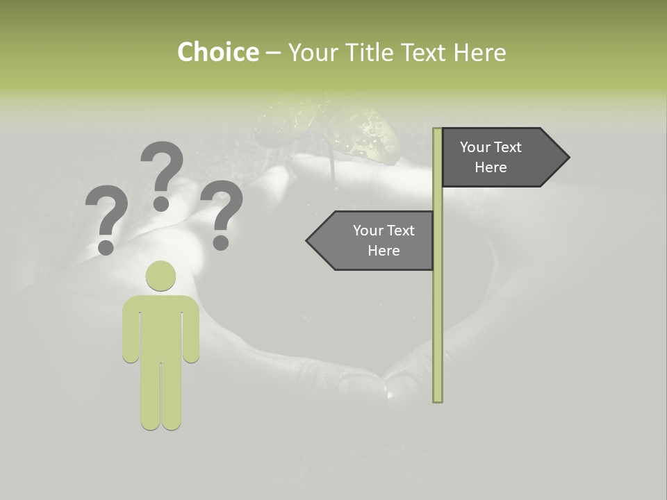 Female Careful Hands Gathering Round A Green Plant. Environmental Conceptual Image. Focus On A Plant. PowerPoint Template