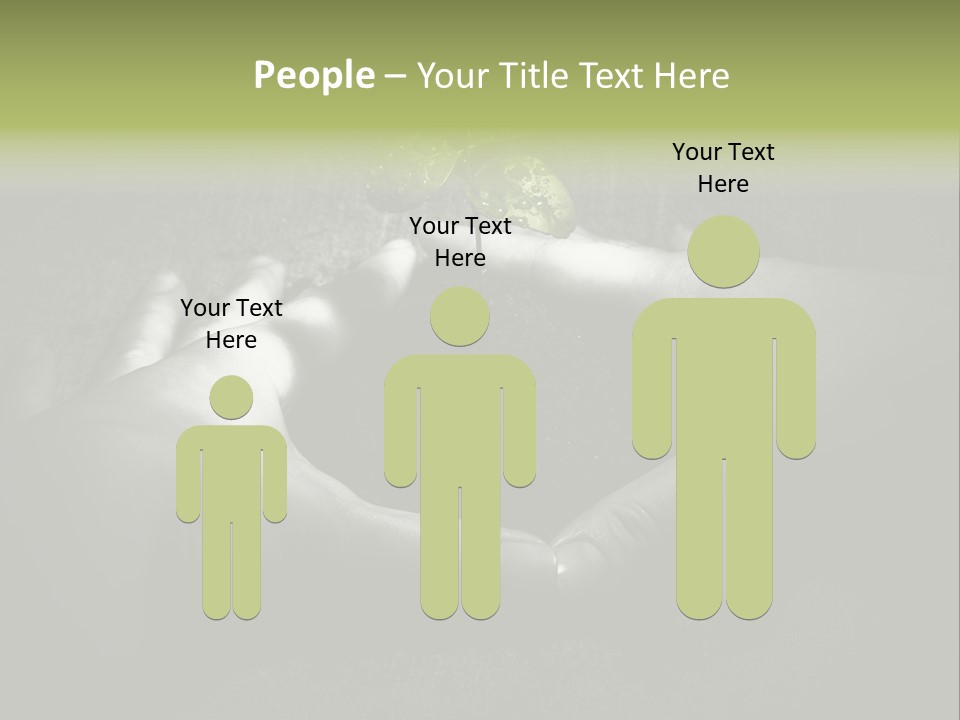 Female Careful Hands Gathering Round A Green Plant. Environmental Conceptual Image. Focus On A Plant. PowerPoint Template