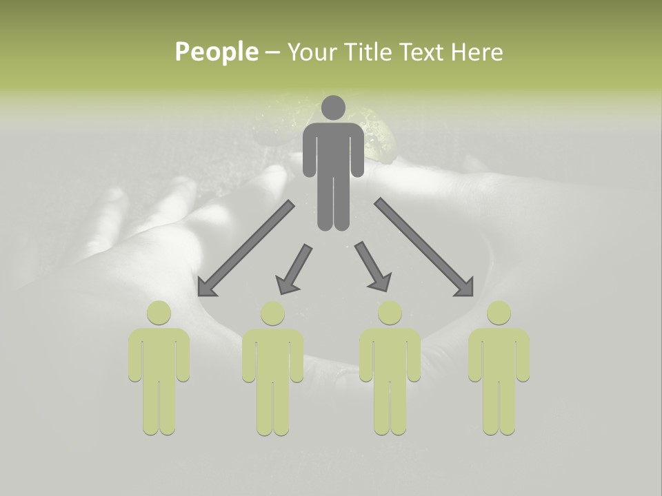 Female Careful Hands Gathering Round A Green Plant. Environmental Conceptual Image. Focus On A Plant. PowerPoint Template