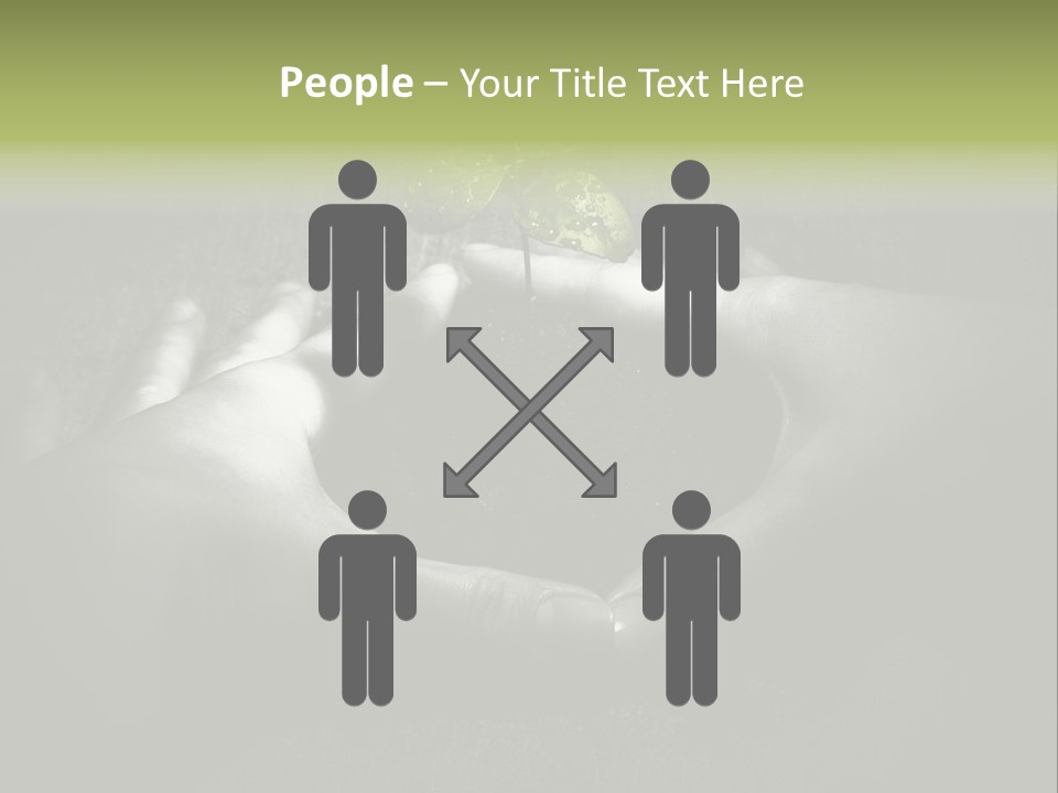 Female Careful Hands Gathering Round A Green Plant. Environmental Conceptual Image. Focus On A Plant. PowerPoint Template