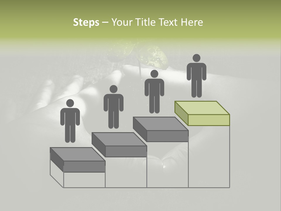 Female Careful Hands Gathering Round A Green Plant. Environmental Conceptual Image. Focus On A Plant. PowerPoint Template