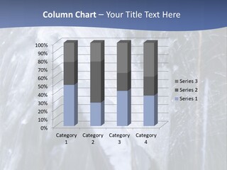 Sprung A Leak PowerPoint Template