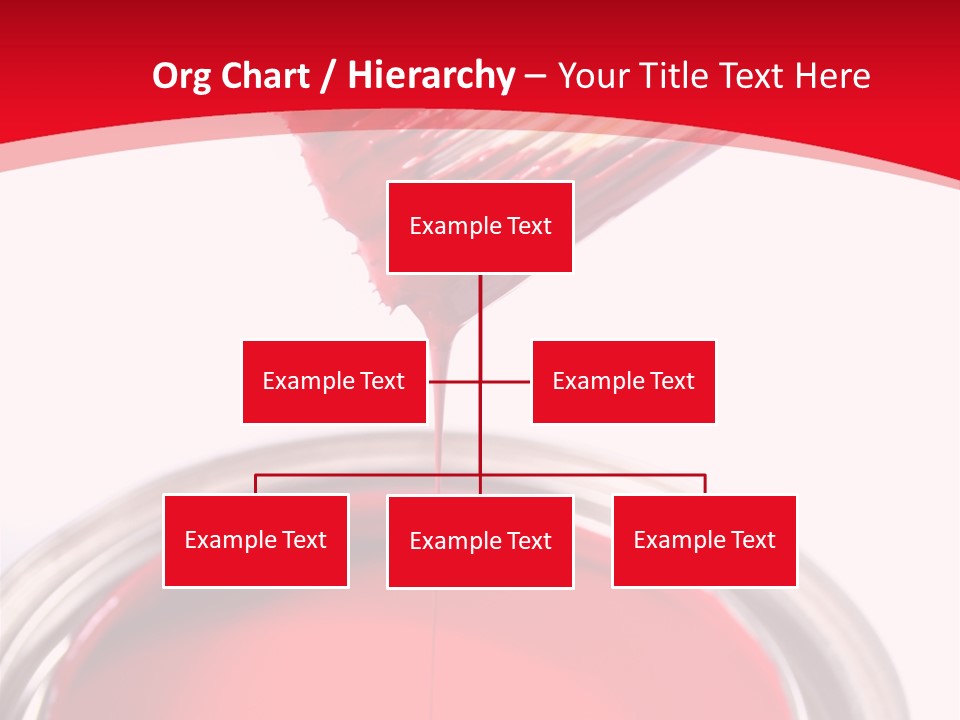 Latex House Paint - Home Improvement PowerPoint Template