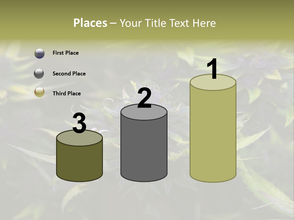 A Bunch Of Purple Flowers With Green Leaves PowerPoint Template