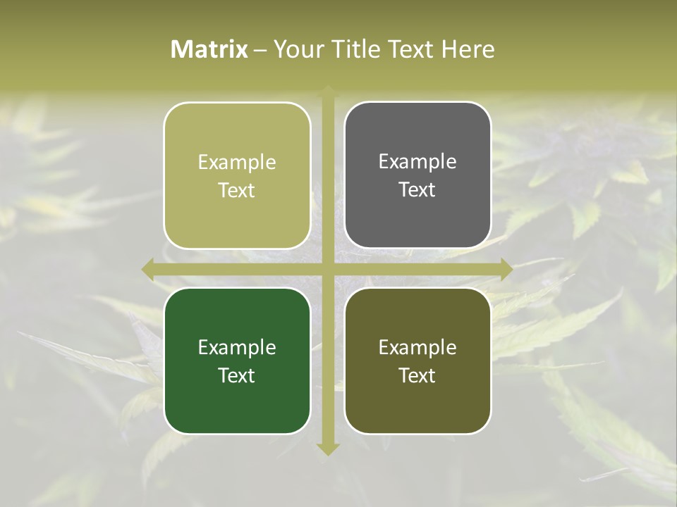 A Bunch Of Purple Flowers With Green Leaves PowerPoint Template