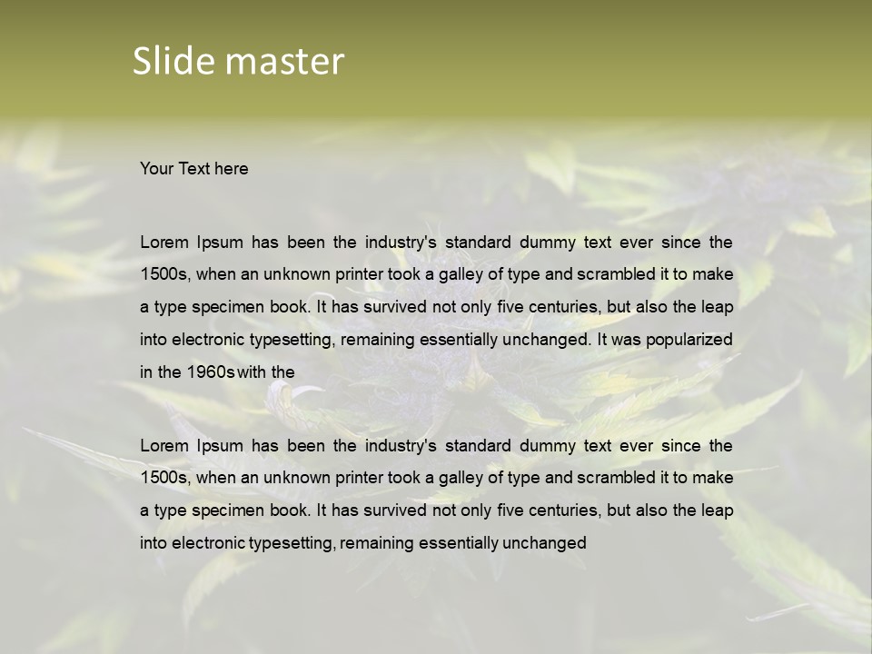 A Bunch Of Purple Flowers With Green Leaves PowerPoint Template