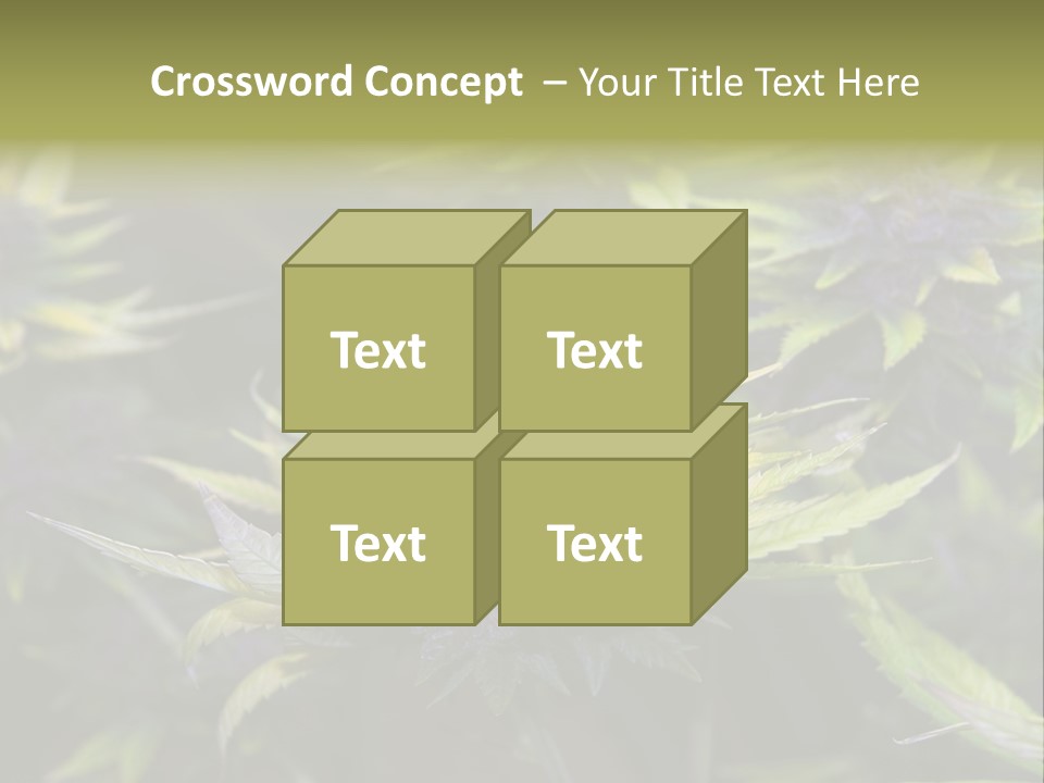 A Bunch Of Purple Flowers With Green Leaves PowerPoint Template