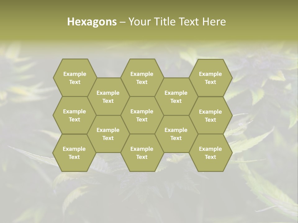 A Bunch Of Purple Flowers With Green Leaves PowerPoint Template