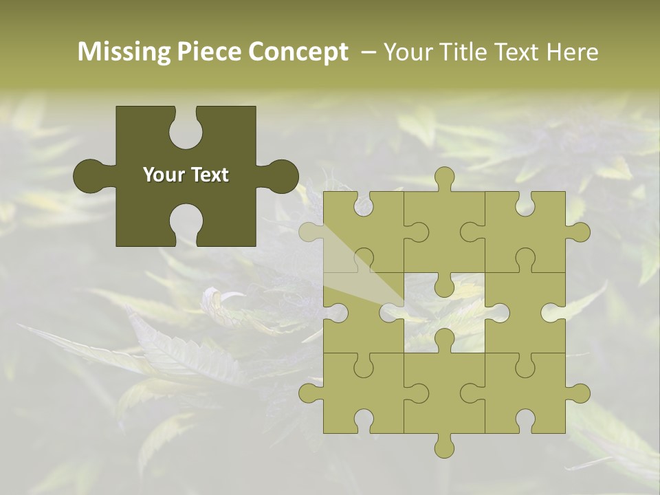 A Bunch Of Purple Flowers With Green Leaves PowerPoint Template