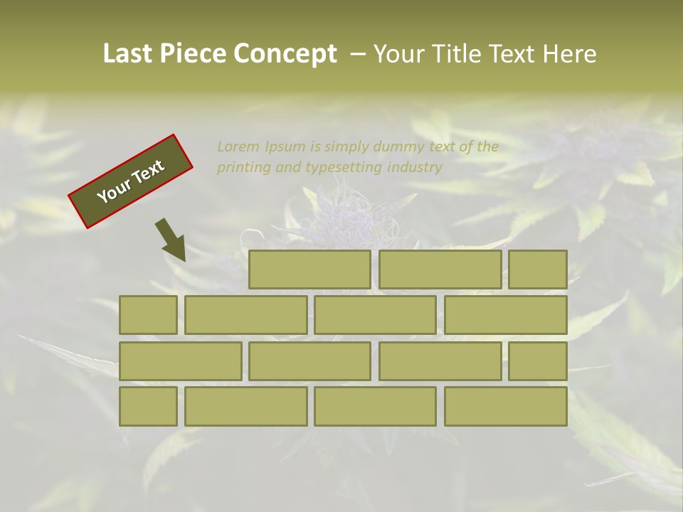 A Bunch Of Purple Flowers With Green Leaves PowerPoint Template