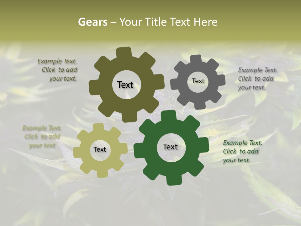 A Bunch Of Purple Flowers With Green Leaves PowerPoint Template