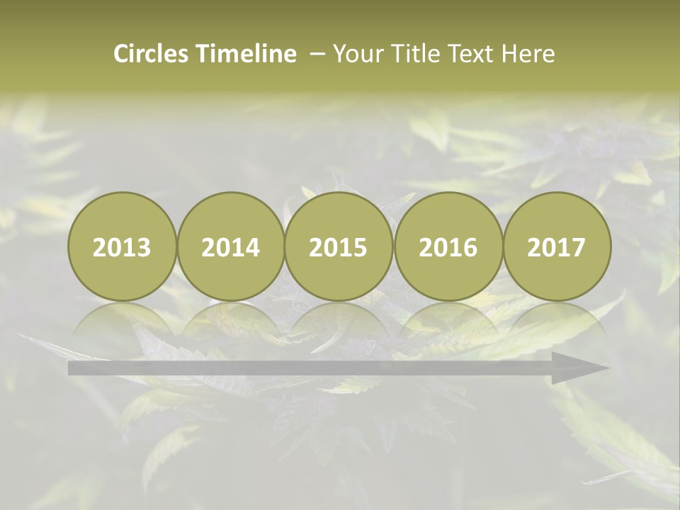 A Bunch Of Purple Flowers With Green Leaves PowerPoint Template