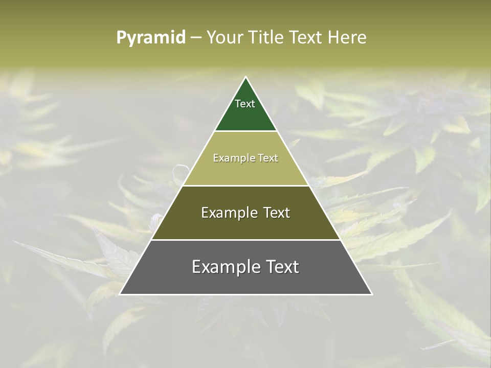 A Bunch Of Purple Flowers With Green Leaves PowerPoint Template