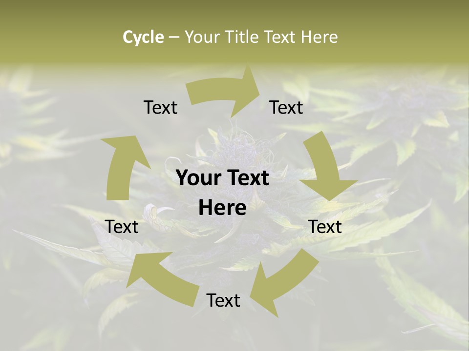 A Bunch Of Purple Flowers With Green Leaves PowerPoint Template