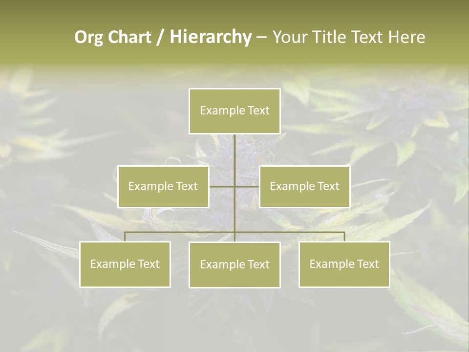 A Bunch Of Purple Flowers With Green Leaves PowerPoint Template