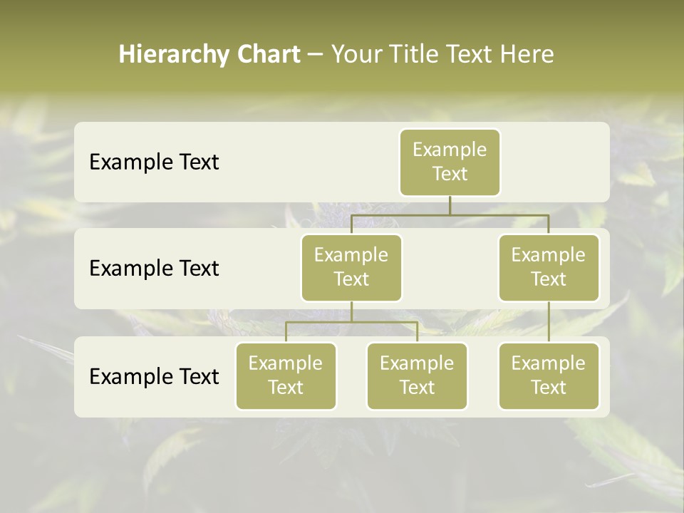 A Bunch Of Purple Flowers With Green Leaves PowerPoint Template