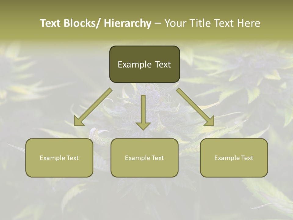 A Bunch Of Purple Flowers With Green Leaves PowerPoint Template