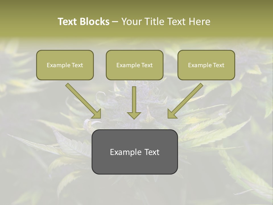 A Bunch Of Purple Flowers With Green Leaves PowerPoint Template