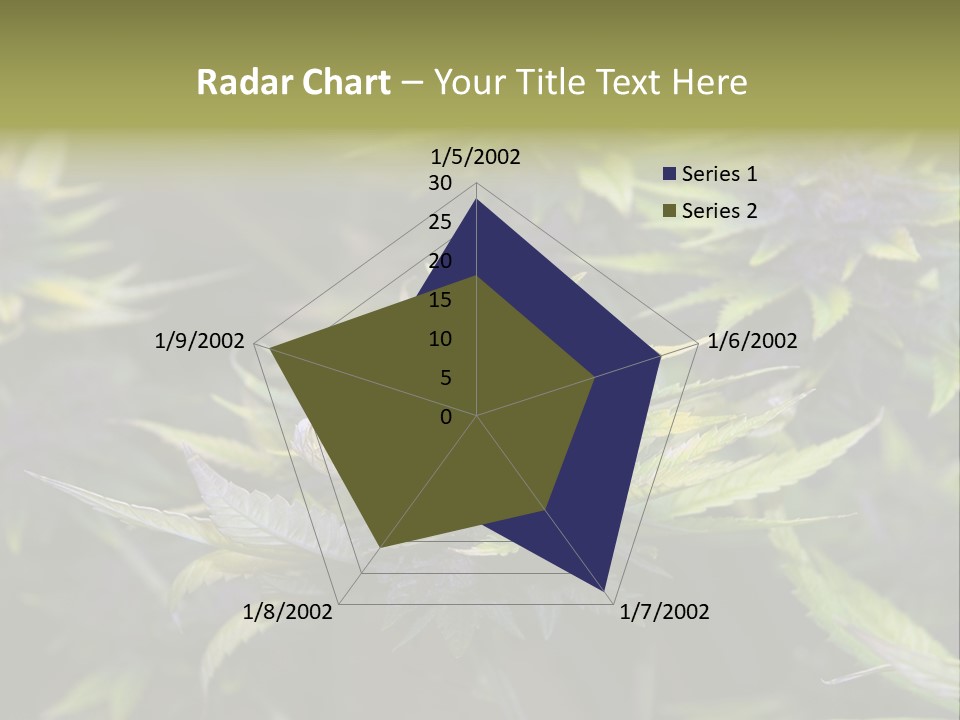 A Bunch Of Purple Flowers With Green Leaves PowerPoint Template