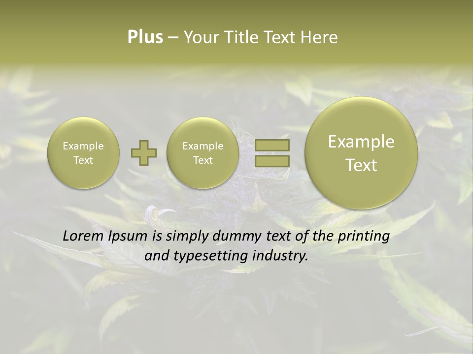 A Bunch Of Purple Flowers With Green Leaves PowerPoint Template