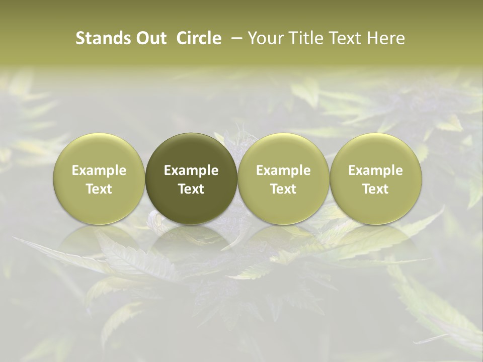 A Bunch Of Purple Flowers With Green Leaves PowerPoint Template